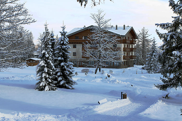 Borievka Suite in the winter
