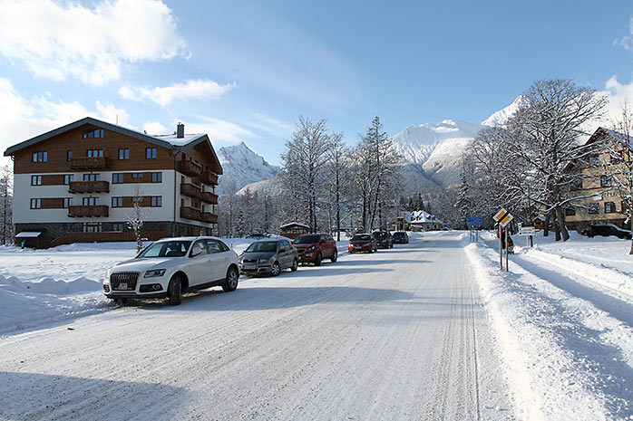 Borievka Suite in the winter